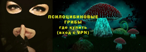 хмурый Россошь