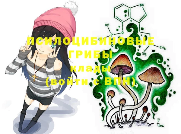 ешки Ростов
