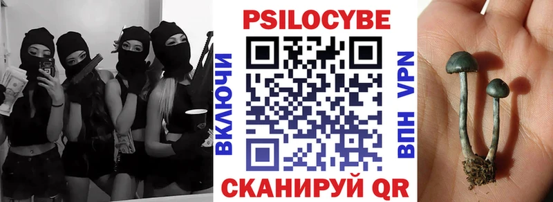 Псилоцибиновые грибы Psilocybe  Терек 